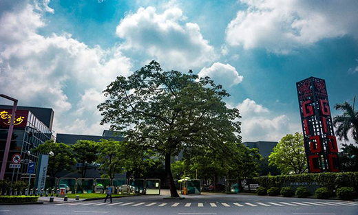 打造“設計順德”，為高質量發展賦能