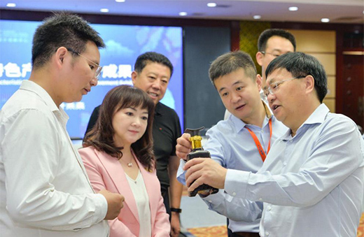 第三屆河北國際工業(yè)設(shè)計(jì)周定州分會(huì)場啟幕